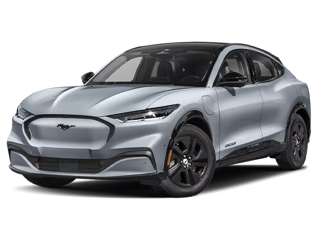2025 Tesla Model 3 vehicle image