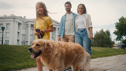 hero video thumb image